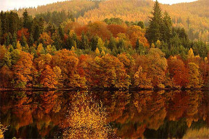 An image of autumnal trees by a Scottish loch